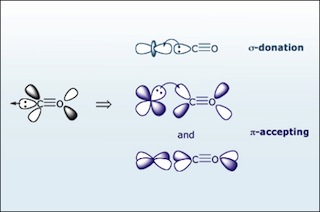 Diagram demonstrating that carbon monoxide is a sigma-donating and pi-accepting ligand.