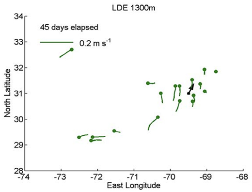 Many green worms and a black vector on a 2D coordinate system.