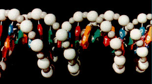 An image of a DNA model sculpture. 